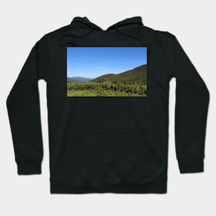 Mountain Scene Hoodie